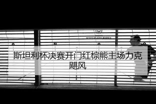 斯坦利杯决赛开门红棕熊主场力克飓风